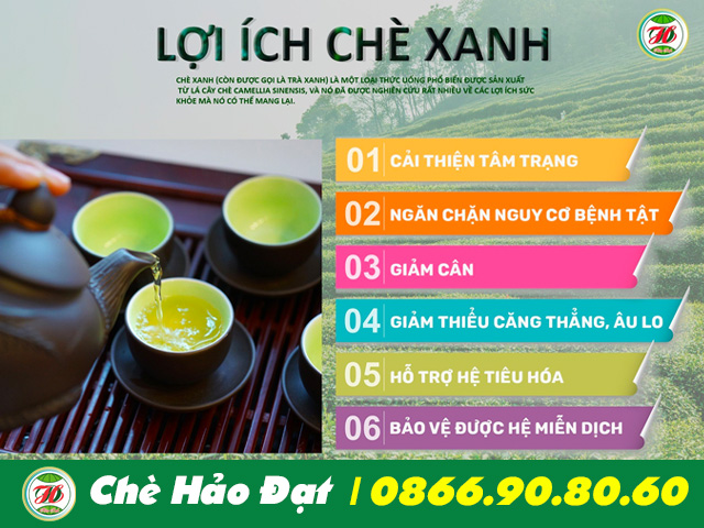 công dụng chè tôm nõn hảo đạt