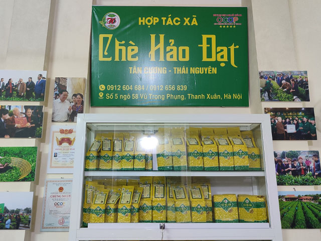 đại lý thanh xuân