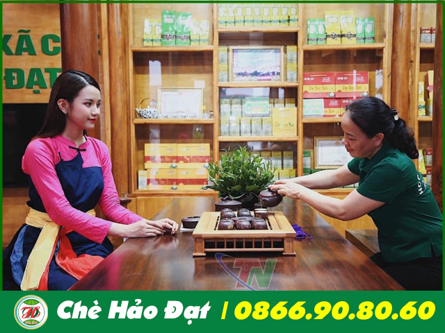 uống trà tại hảo đạt