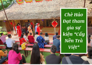 che-hao-dat-tham-gia-su-kien-cay-nen-tra-viet