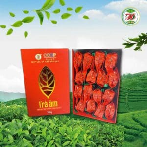 Hộp Quà Tặng 200gr Trà Ấm – Đinh Đặc Sản