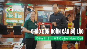 Chào đón đoàn cán bộ Lào đến thăm HTX chè Hảo Đạt