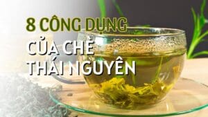 Khám Phá 8 Công Dụng Tuyệt Vời của Chè Thái Nguyên Cho Sức Khỏe