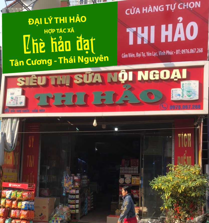 Đại lý Chè Hảo Đạt tại Vĩnh Phúc