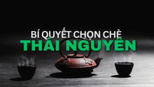 Bí Quyết Chọn Trà Thái Nguyên Ngon, Chuẩn Vị