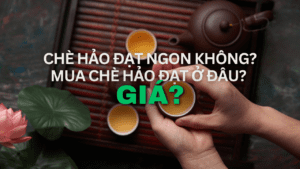 Chè Hảo Đạt Ngon Không? Mua Chè Hảo Đạt Ở Đâu? Giá?