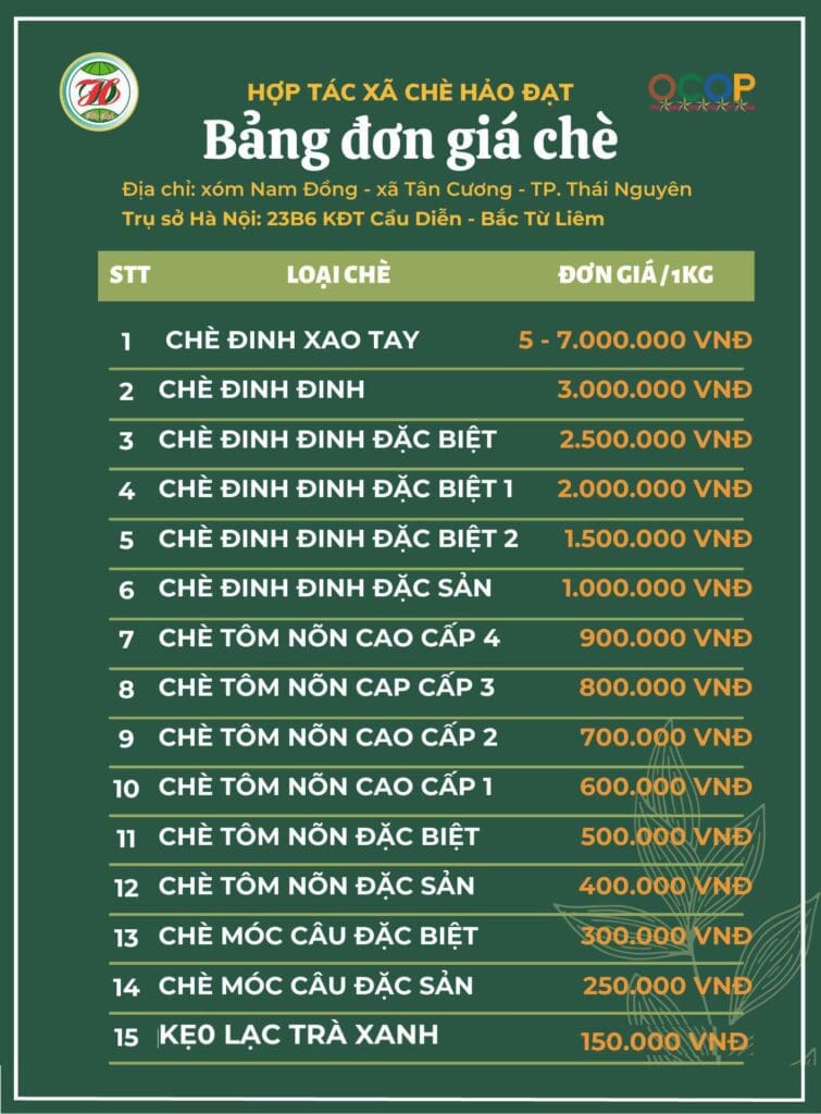 Chè Hảo Đạt Ngon Không? Mua Chè Hảo Đạt Ở Đâu? Giá?