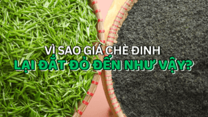 Vì Sao Giá Chè Đinh Lại Đắt Đỏ Đến Như Vậy?