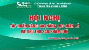 Hội nghị tập huấn nâng cao năng lực quản lý và tiêu thụ sản phẩm chè.