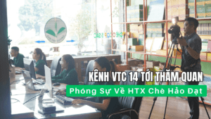 Kênh VTC 14 Đã Tới Thăm Quan, Tiến Hành Phóng Sự Về HTX Chè Hảo Đạt.