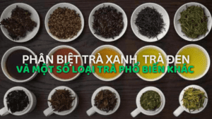 Phân Biệt Trà Xanh, Trà Đen Và Một Số Loại Trà Phổ Biến Khác