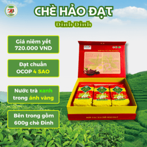 Combo Hộp Quà Tặng Chè Đinh 600G