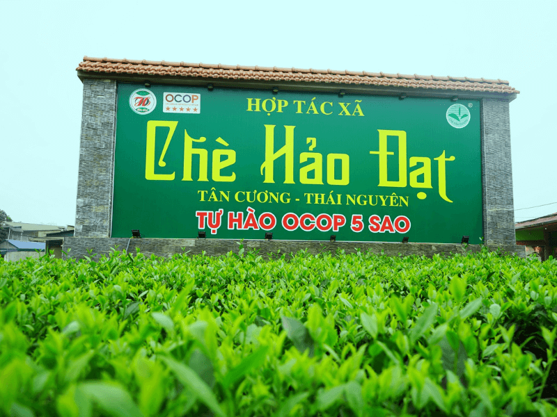 Ảnh Top 5 Thương Hiệu Chè 1