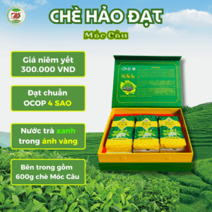 Combo Hộp Quà Tặng Chè Móc Câu 600G