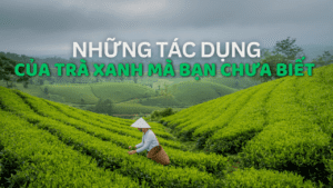 Tác Dụng Của Trà Xanh