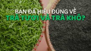 Bạn Đã Hiểu Đúng Về Trà Tươi Và Trà Khô? avt