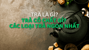 Trà là gì? Trà có chất gì? Các loại trà ngon nhất