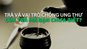 Trà và vai trò chống ung thư của trà mà bạn chưa biết?