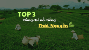 Top 3 đặc sản chè nổi tiếng Thái Nguyên vùng Tân Cương 4