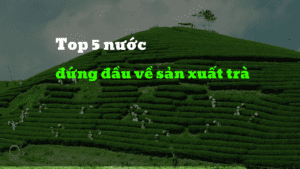 Top 5 nước đứng đầu về sản xuất trà bạn đã biết chưa?