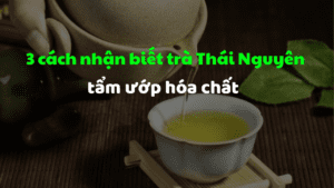 5 vùng sản xuất trà Thái Nguyên ngon nhất 4