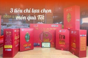 3 tiêu chí lựa chọn món quà Tết